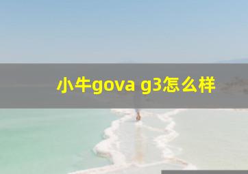 小牛gova g3怎么样